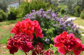 Καιρός: «Μίνι» καλοκαίρι με «30άρια» αλλά και βροχές - Η πρόγνωση για την Κυριακή του Πάσχα