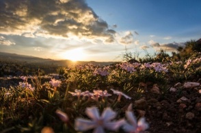 ουρανος, συννεφα, δεντρα