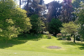 Γουίκλοου, Άρκλοου και οι πράσινοι παράδεισοι