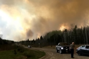 καπνος, φωτιες, δασος