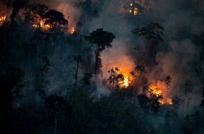 SOS για την κλιματική αλλαγή: Το 2024 χάθηκε ένας «Παναμάς» τροπικών δασών