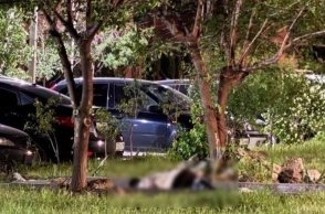 Ρωσία, δεντρα, πτωμα