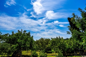 Καιρός, ουρανος, συννεφα, δεντρα