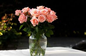 Εορτολόγιο: Σήμερα 30 Σεπτεμβρίου 2025 γιορτάζει…