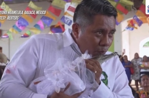 Μεξικό, Δήμαρχος φιλάει θηλυκό αλιγάτορα