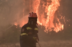 φωτιά, πυροσβεστες, δασος