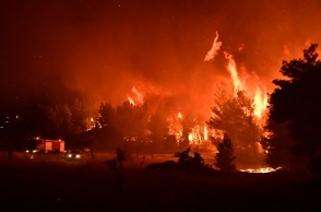 Φωτιά στον Ωρωπό: Ολονύχτια μάχη με τις φλόγες - Βελτιωμένη η εικόνα, ξεκίνησαν ρίψεις νερού από αέρος