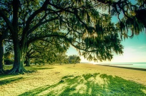Τραγωδία στις ΗΠΑ: Πατέρας 3 παιδιών πέθανε ενώ προσπαθούσε να σώσει άτομα στη θάλασσα