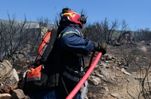 φωτιά, πυροσβεστες, δασος
