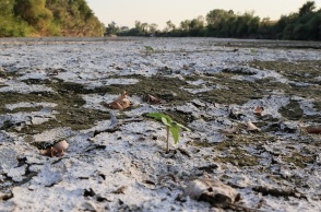 Η Ελλάδα σε συνθήκες έντονης ξηρασίας – Σοβαρές επιπτώσεις σε Κρήτη, Πελοπόννησο και Βόρεια Ελλάδα