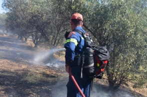 φωτιά, πυροσβεστες, δασος