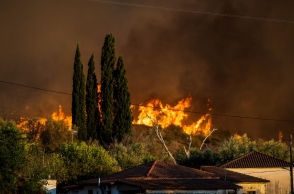 φωτιά στο Χελιδόνι Αρχαίας Ολυμπίας