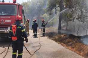 φωτιά, πυροσβεστες, δασος