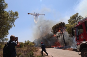 φωτιά, πυροσβεστες, δασος