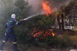 φωτιά, πυροσβεστες, δασος