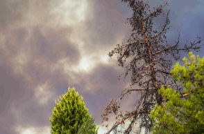 Φωτιά στην Αχαΐα: Τρεις φορές πάνω από το όριο οι καρκινογόνες ενώσεις στα σωματίδια καπνού