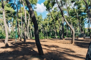 Το Άλσος Χωροφυλακής