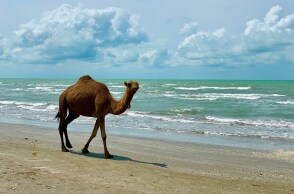 Συναγερμός για την στάθμη της Κασπίας Θάλασσας