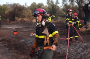 φωτια, δασος, πυροσβεστικο οχημα