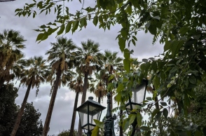 καιρός, συννεφα, δεντρα