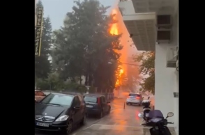 Ναύπακτος: Δέντρο άρπαξε φωτιά από κεραυνό