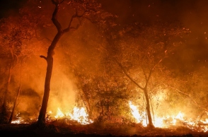πυρκαγιές στον Αμαζόνιο