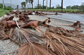 Κυκλώνας Μελίσα: Πάνω από 30 οι νεκροί σε Αϊτή, Τζαμάικα, Δομινικανή Δημοκρατία, Παναμά