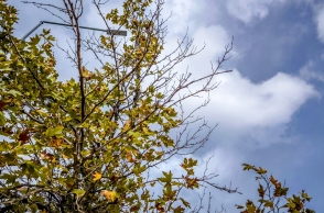 Καιρός, συννεφα