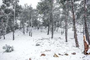 Καιρός: Χιόνια