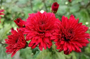 Εορτολόγιο