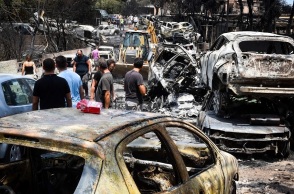 καμμενα αυτοκινητα, δασος, κοσμος