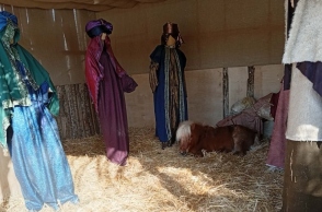 πόνι σε φάτνη