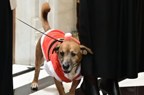 Έκλεψε την παράσταση ο Πίνατ ντυμένος «Άγιος Βασίλης» στο Μαξίμου