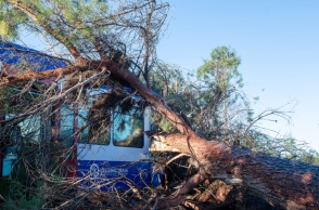 πτώση δέντρου σε αμαξοστοιχία