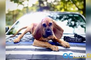 Αστυνομικός σκύλος-ήρωας έσωσε 13χρονο με αυτισμό εν μέσω σφοδρής χιονοθύελλας στις ΗΠΑ