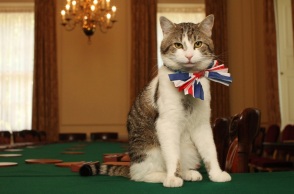 Έξι Βρετανοί πρωθυπουργοί, αμέτρητοι ηγέτες: Ο Λάρι έκλεισε 15 χρόνια στο Νο.10 της Ντάουνινγκ Στριτ