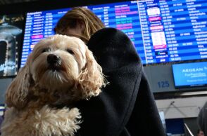 Ανάφλεξη στη Μέση Ανατολή: Ποιες ελληνικές πτήσεις έχουν ακυρωθεί