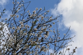 Καιρός αύριο: Υψηλές θερμοκρασίες με δυνατούς ανέμους στο Αιγαίο