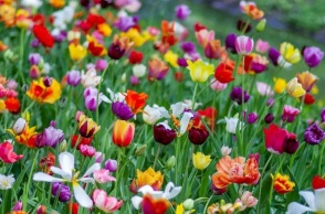 Εορτολόγιο: Σήμερα, 8 Μαρτίου 2026, γιορτάζει…