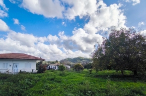 Καιρός: Ανοιξιάτικο το σκηνικό αύριο με τη θερμοκρασία στους 19 βαθμούς