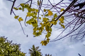 Αίθριος ο καιρός σήμερα