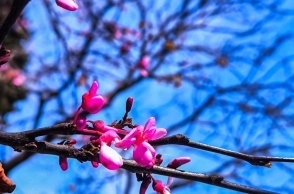 Καιρός αύριο