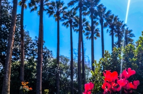 Με λιακάδα ο καιρός σήμερα