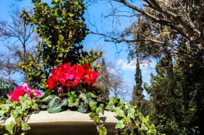 Ο καιρός σήμερα, Δευτέρα 16 Μαρτίου: Αίθριος με νεφώσεις και τοπικές βροχές στα ορεινά - Αυξημένη σκόνη και μικρή μεταβολή θερμοκρασίας.