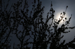 Καιρός αύριο: Συννεφιά με τοπικές βροχές την Κυριακή του Πάσχα