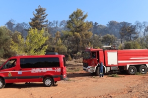Φωτιά σε δασική έκταση στην Άμπελο Αχαΐας