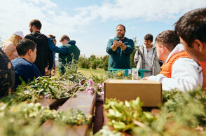 Αναδάσωση της Motor Oil