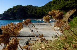 Καιρός: Τους 31 βαθμούς θα αγγίξει η θερμοκρασία αύριο