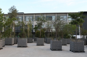 Attracted to trees: Μια βραδιά νέων περφόρμανς στην Πειραιώς 260