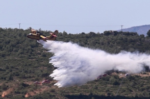 Φωτιά στη Φωκίδα: Μία σύλληψη για εμπρησμό από αμέλεια - Επιβλήθηκε πρόστιμο 1.074 ευρώ